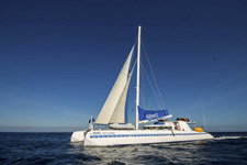 Ecuador-Galapagos-Nemo Naturalist Sailing Cruise - Nemo I